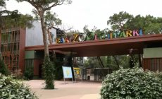 Bakı Zooparkı kərə yağı istehsal edən şirkətdən heyvan yemi alır