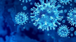 Koronavirusun yeni ştammı sürətlə yayılır