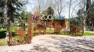 Bakı Zooparkı kərə yağı istehsal edən şirkətdən heyvan yemi alır