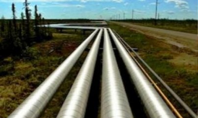 “Şirvan OİL”da şirkət rəhbərliyini kimlər aldadıb?  