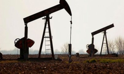 "Heç bir əməliyyat şirkəti dövlətə bu qədər gəlir gətirməyib"   - ARDNF