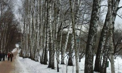 Tolstoyun darıxan qəbri   - Yasnaya Polyanadan REPORTAJ