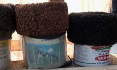 "O qədər susduq, axırda özü dilləndi papaq"   - Tofiq Həsənli