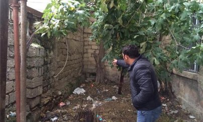 Yaşıllaşdırma Təsərrüfatı Birliyi təhlükə yaradır - FOTOLAR