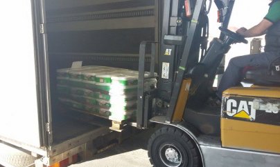 “Palsüd” ölkə sərhədlərini aşdı (VİDEO, FOTO)