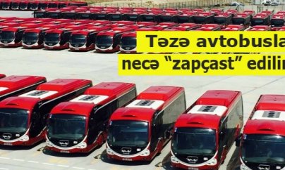 “BakuBus” MMC-də talanan milyonlar