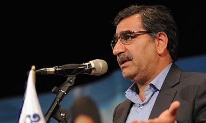 Türkmən qazı Azərbaycana necə nəql olunacaq? - Nazir müavini 