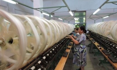 Şəki İpək Kombinatı işini dayandırır