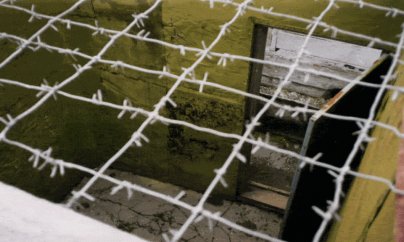 Siyasi məhbus sayılan iki nəfər azadlığa çıxıb