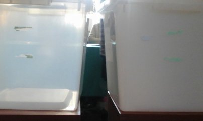 Bir sıra məntəqələrdə seçki qutuları şəffaf deyil