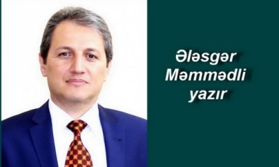 ATƏT müşahidəçilərinə hücumun arxasındə nə durur?