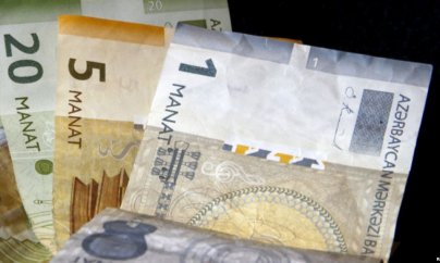 Bu il 50 milyon manat güzəştli kredit verilib