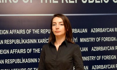 Azərbaycan XİN Fransanı ittiham etdi