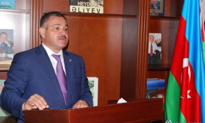 İcra başçısı qaynanasının adına subsidiya alıb