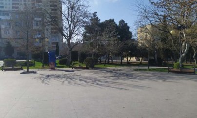 Parklarda skamyalar yığışdırıldı
