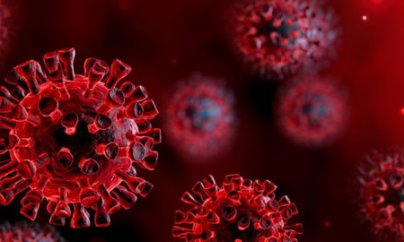 Koronavirus təhlükəsi və distant təhsil