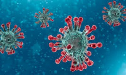 Koronavirus: Britaniya həkimləri seçim qarşısında