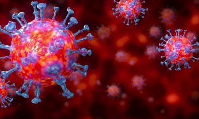 Dünyada koronavirus: ölkələr necə mübarizə aparırlar?