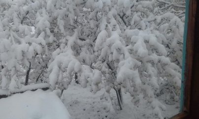 Lerikdə qar yağır - FOTOLAR