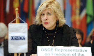 Dunya Miyatoviç: Jurnalistlərə əvəzsiz işlərinə görə təşəkkür etməliyik