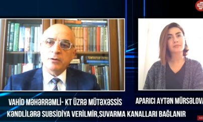 Vahid Məhərrəmli: Nazirlər kəndlilərə verilən torpaqları ələ keçirirlər