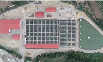 “Şəmkirin icra başçısının oğluna məxsus şirkət mənim hüquqlarımı pozur”