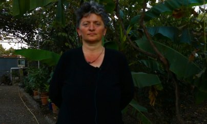 “Bütün problemləri birgə həll edirik” – VİDEO +İnfoqrafika