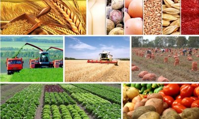 “Azərbaycan kənd təsərrüfatı məhsullarını normaya uyğun təmin edə bilmir”