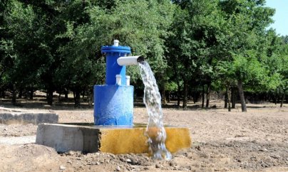 Subartezian quyu biznesi