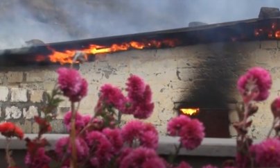 Kəlbəcərdə ağacların kəsilməsi ilə bağlı beynəlxalq təşkilatlara müraciət edilib