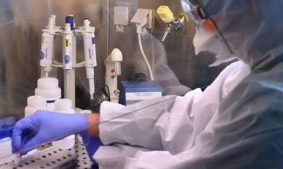 Koronavirus Cənubi Qafqazda: bir günlük statistika