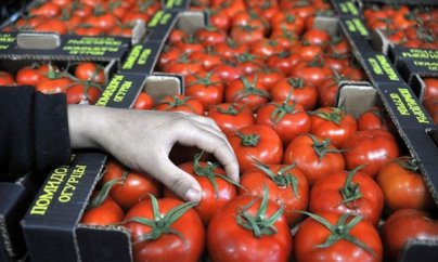 Rusiya Azərbaycandan pomidor və alma idxalına qadağa qoydu