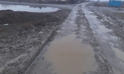 Problemlərin əlində qalan Əlyetməzli...