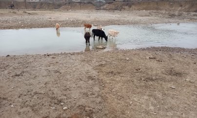 “Virusa görə ayrılan xəstəxananın çirkab suları da çaya axıdılır”