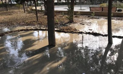 Bakıda Heydər Əliyev parkında ağacların dibinə beton tökülür - VİDEO 