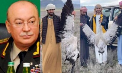 Azərbaycanda qanunu pozan ərəblərlə Kəmaləddin Heydərovu birləşdirən nədir?