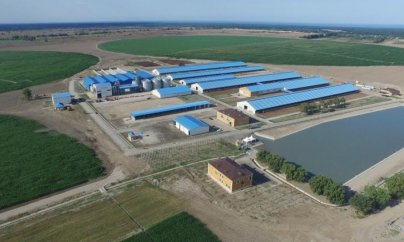 ''Azərbaycanda ən iri aqropark şəbəkəsinə 