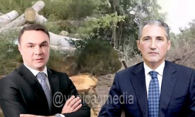 Deputatın atası meşələri niyə xaraba qoyur?