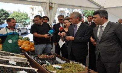 KTN-nin yarmarka fiaskosu: Qiymətlər niyə bahadır?