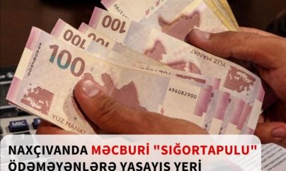 Naxçıvanda fermerlərdən 