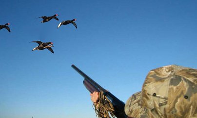 Azərbaycanda ov edən Qətər vətəndaşı cərimələnib