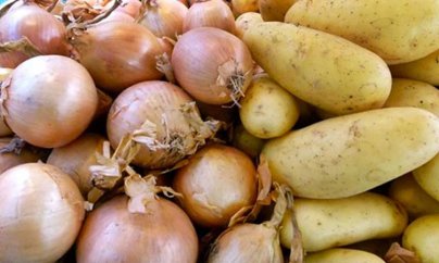 Kartof və soğan bahalaşdı