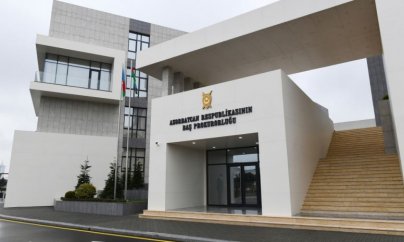 Bakıda və rayonlarda ağac kəsməyə görə cinayət işləri başlanıb