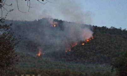 Oğuzda FHN-in “söndürdüyü” yanğın davam edir