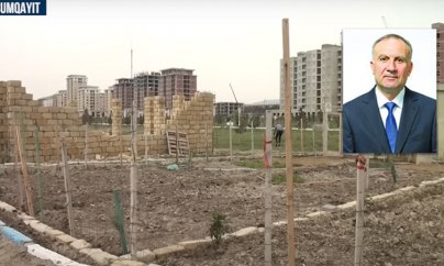 Xiyar-pomidor əkilən Sumqayıt bulvarının rəisi işdən çıxarılıb