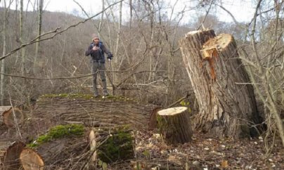 “Muxtar Babayevin növbəti barbarlığı...