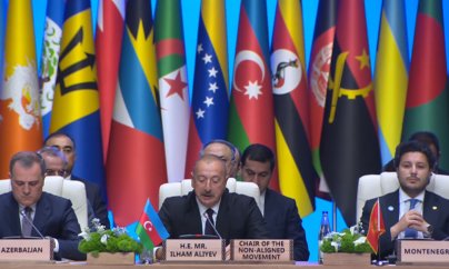 İlham Əliyev Quranın yandırılmasını pislədi