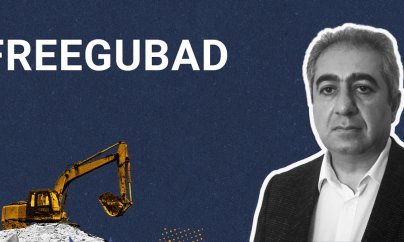 Daha bir beynəlxalq təşkilatdan Qubad İbadoğlu ilə bağlı çağırış