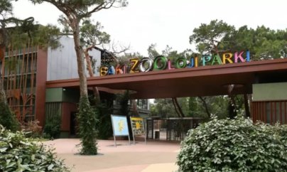 Bakı Zooparkı kərə yağı istehsal edən şirkətdən heyvan yemi alır