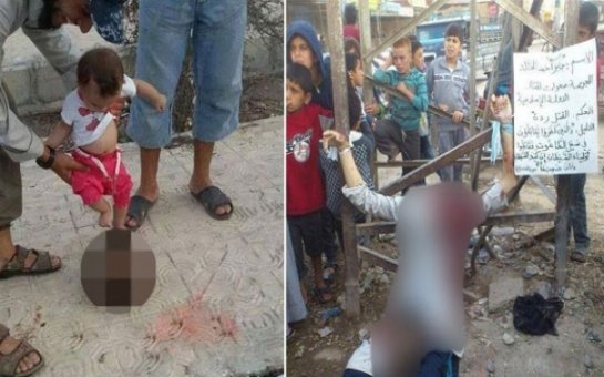 Bunu edən insan deyil!   - VƏHŞİLİK